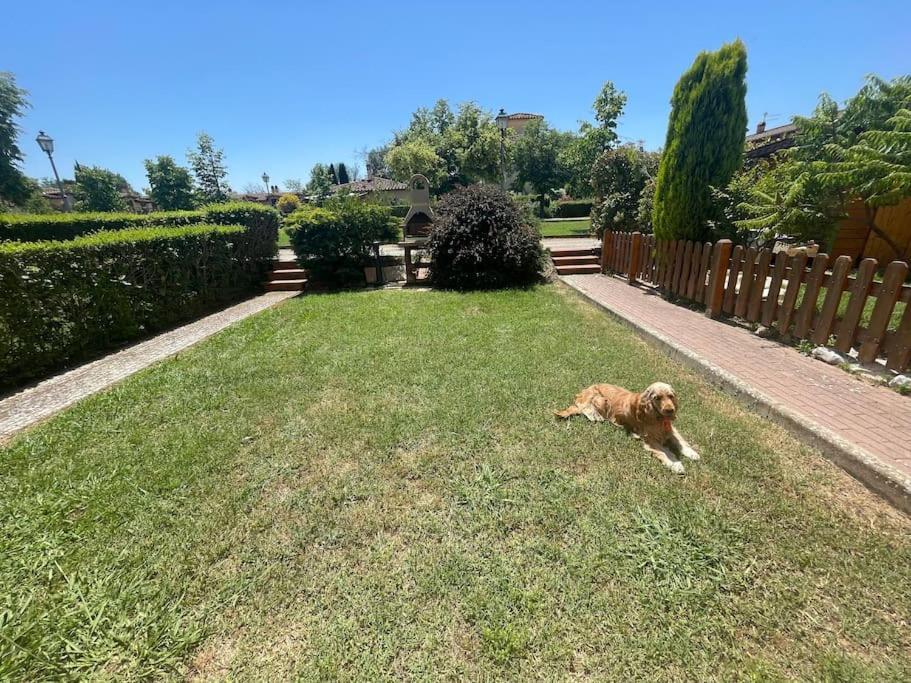 Casa Vacanza Villaggio Poggio Rosso Arezzo Zewnętrze zdjęcie